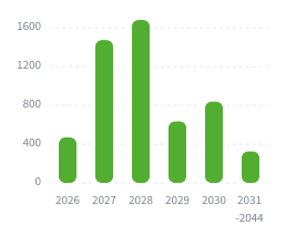 Senior notes and loans