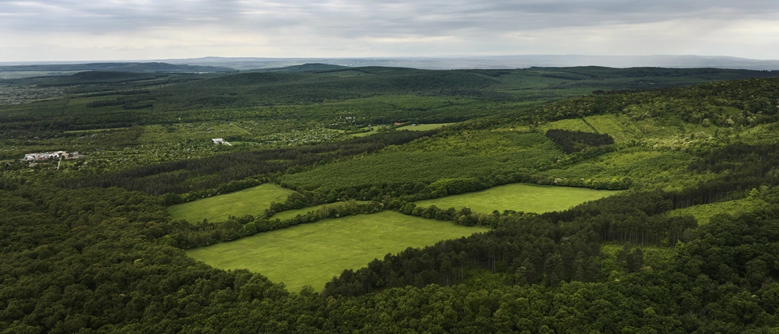 Sustainability - Decarbonisation